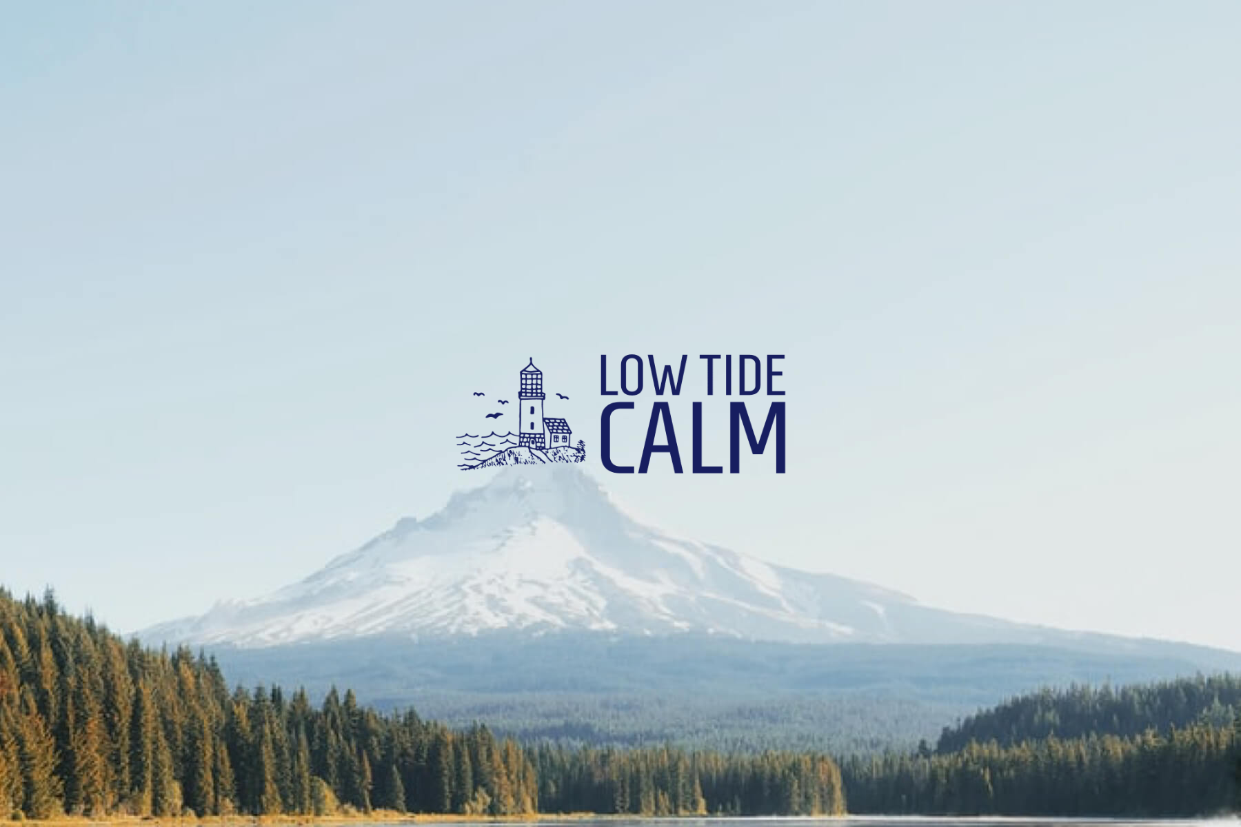 Low Tide Calm - Organisations / HR